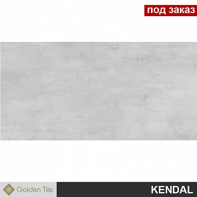 Плитка  для облиц. стен  KENDAL  серый  307*607